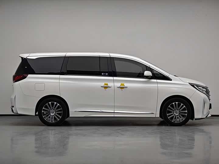 GAC Trumpchi M8 2021 2021款 领秀系列 390T 至尊版