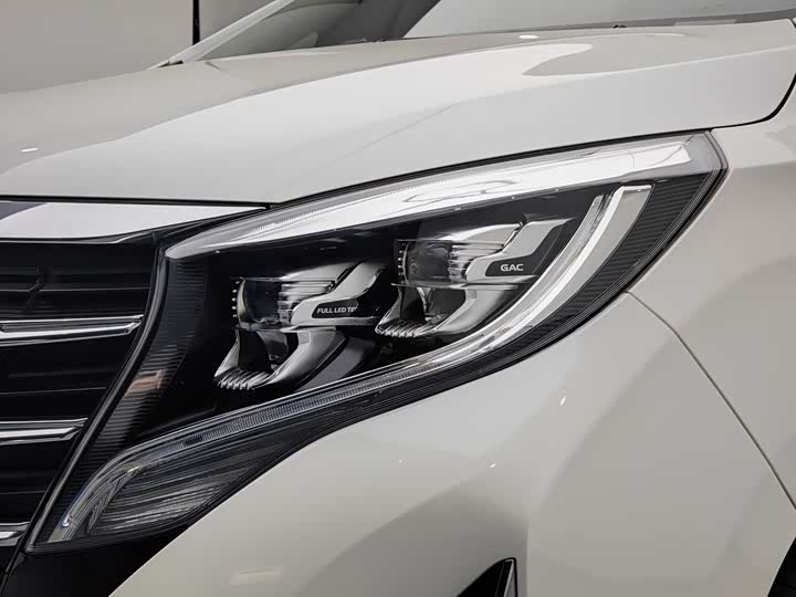 GAC Trumpchi M8 2021 2021款 领秀系列 390T 至尊版