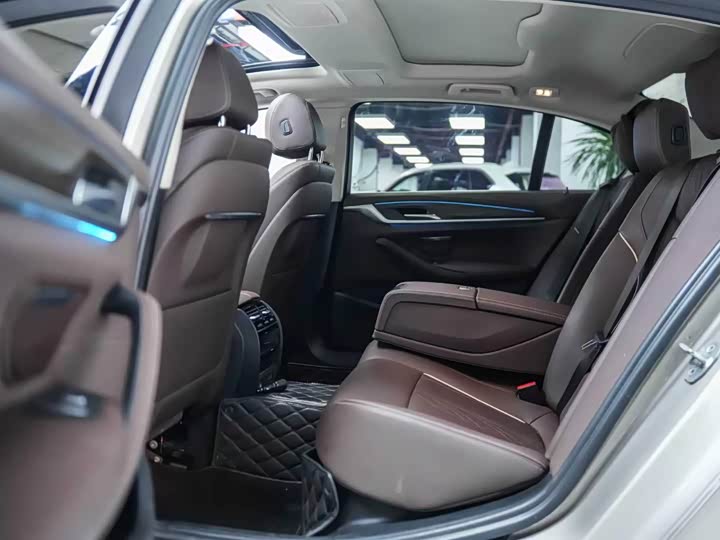 2022 BMW 5 Series Hybrid