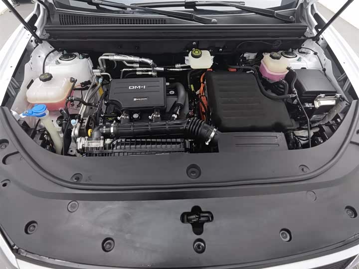 BYD Sea Lion 05 DM-i Hybrid 2025 2025款 DM-i 75KM尊贵型