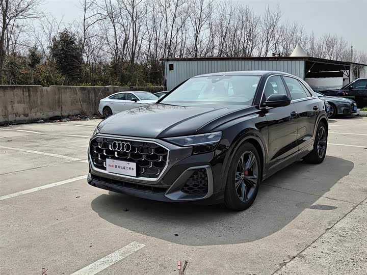 Audi Q8 2024 2024款 55 TFSI 豪华动感型
