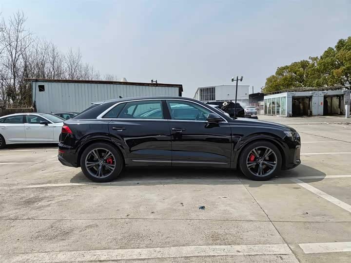 Audi Q8 2024 2024款 55 TFSI 豪华动感型