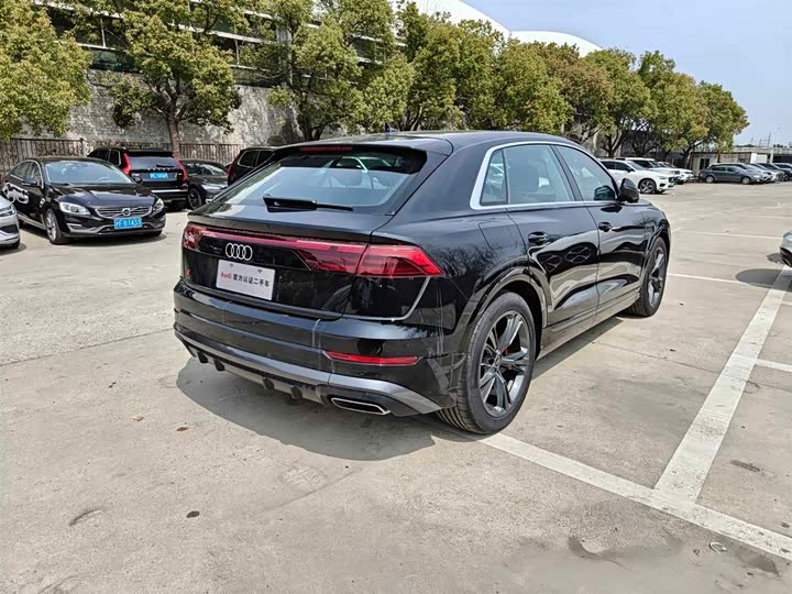 Audi Q8 2024 2024款 55 TFSI 豪华动感型