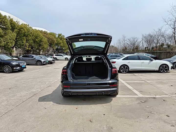 Audi Q8 2024 2024款 55 TFSI 豪华动感型