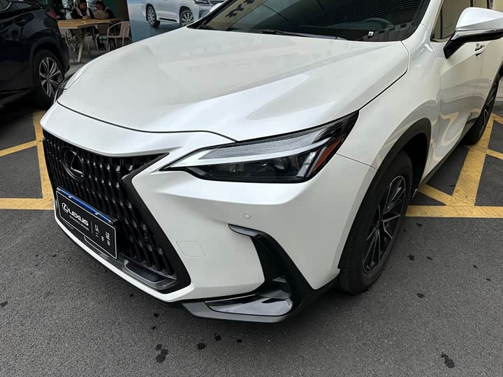 Lexus NX 2024 2024款 260 前驱 创驰版