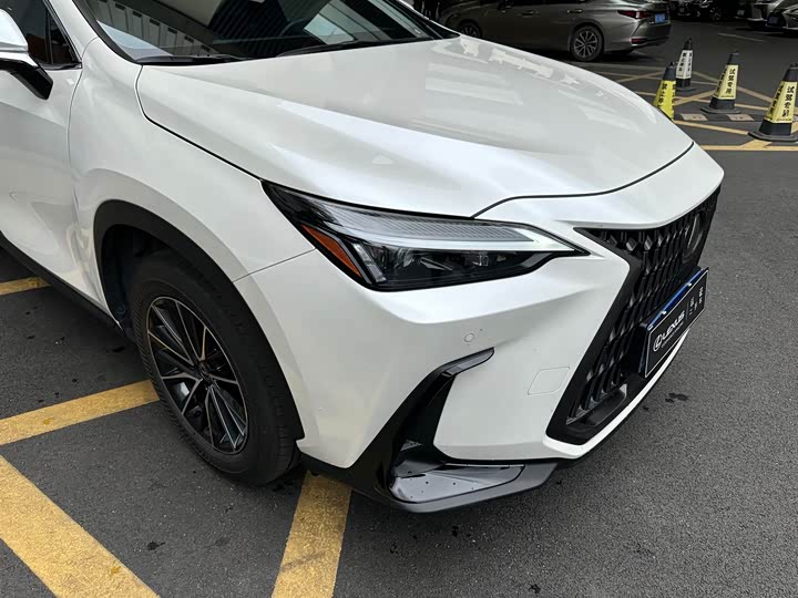 Lexus NX 2024 2024款 260 前驱 创驰版