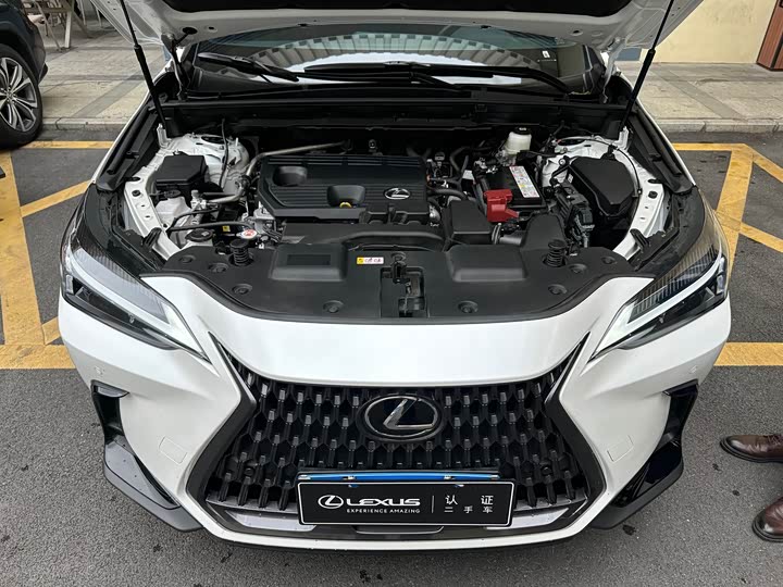 Lexus NX 2024 2024款 260 前驱 创驰版