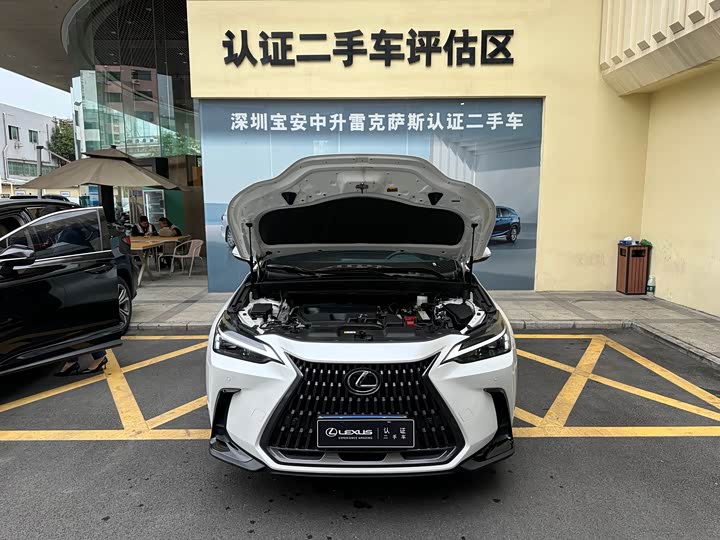 Lexus NX 2024 2024款 260 前驱 创驰版