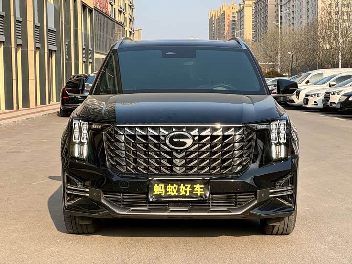 GAC Trumpchi GS8 2024 2024款 领航系列 2.0TGDI 两驱豪华智联版 7座