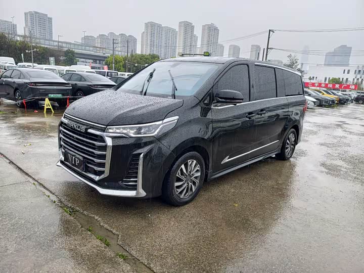 Maxus G20 2021 2021款 PLUS 2.0T 汽油自动智尊版