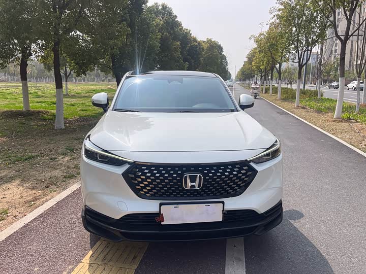 Фото 2 - Honda XR-V
