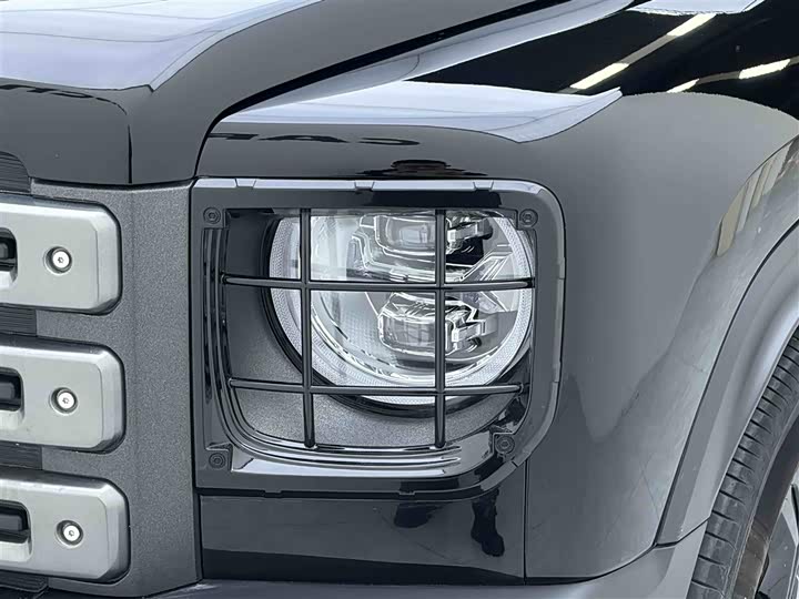 Haval Raptor Hybrid 2024 2024款 Hi4 145 穿越版