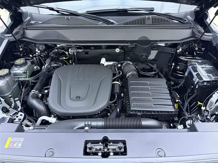 Haval Raptor Hybrid 2024 2024款 Hi4 145 穿越版