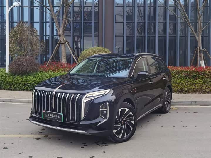 Фото 1 - Hongqi HS7 Hybrid