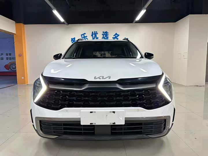 Kia Sportage 2023 2023款 2.0L HEV 两驱尊贵版