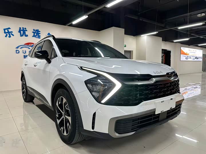 Kia Sportage 2023 2023款 2.0L HEV 两驱尊贵版