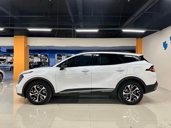 Kia Sportage 2023 2023款 2.0L HEV 两驱尊贵版