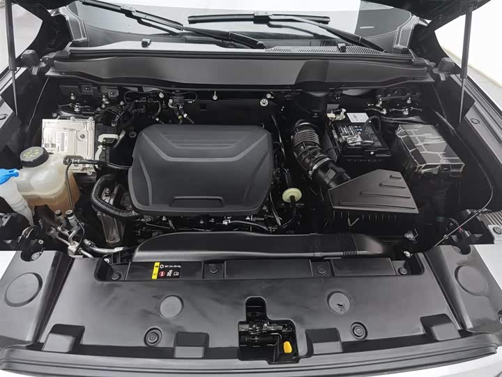 Haval Dargo 2024 2024款 1.5T DCT边牧版