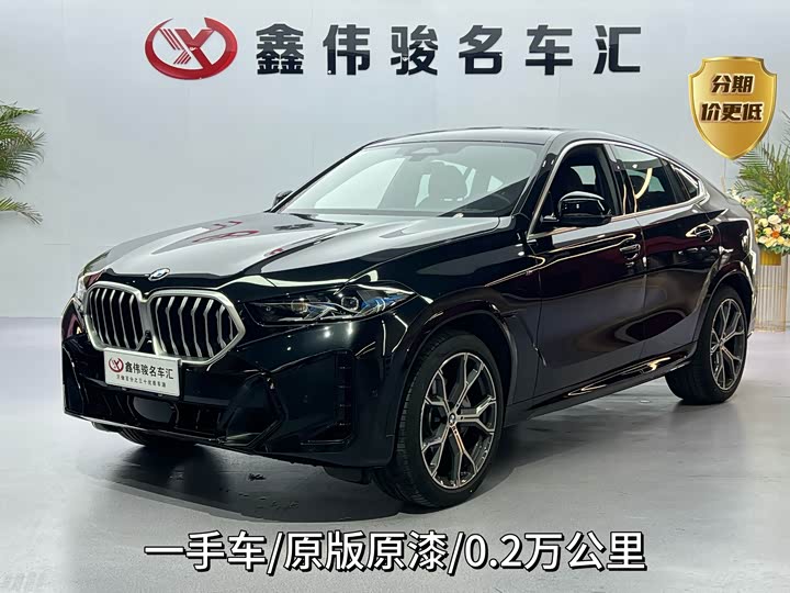 2023 BMW X6