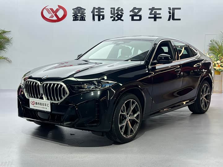 2023 BMW X6
