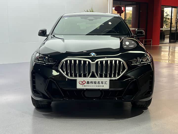 2023 BMW X6