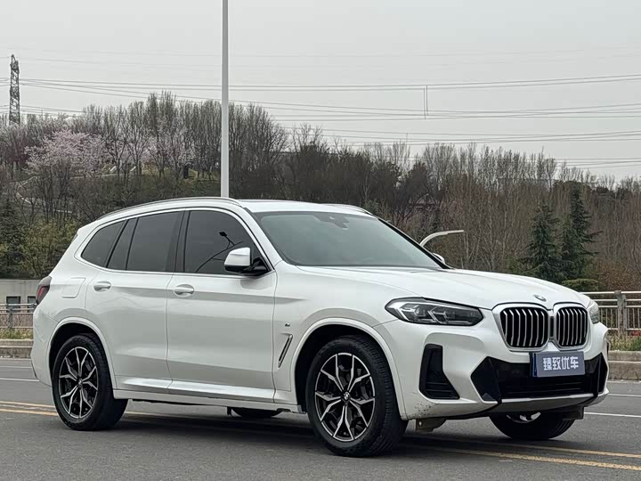 Zdjęcie 3 - BMW X3