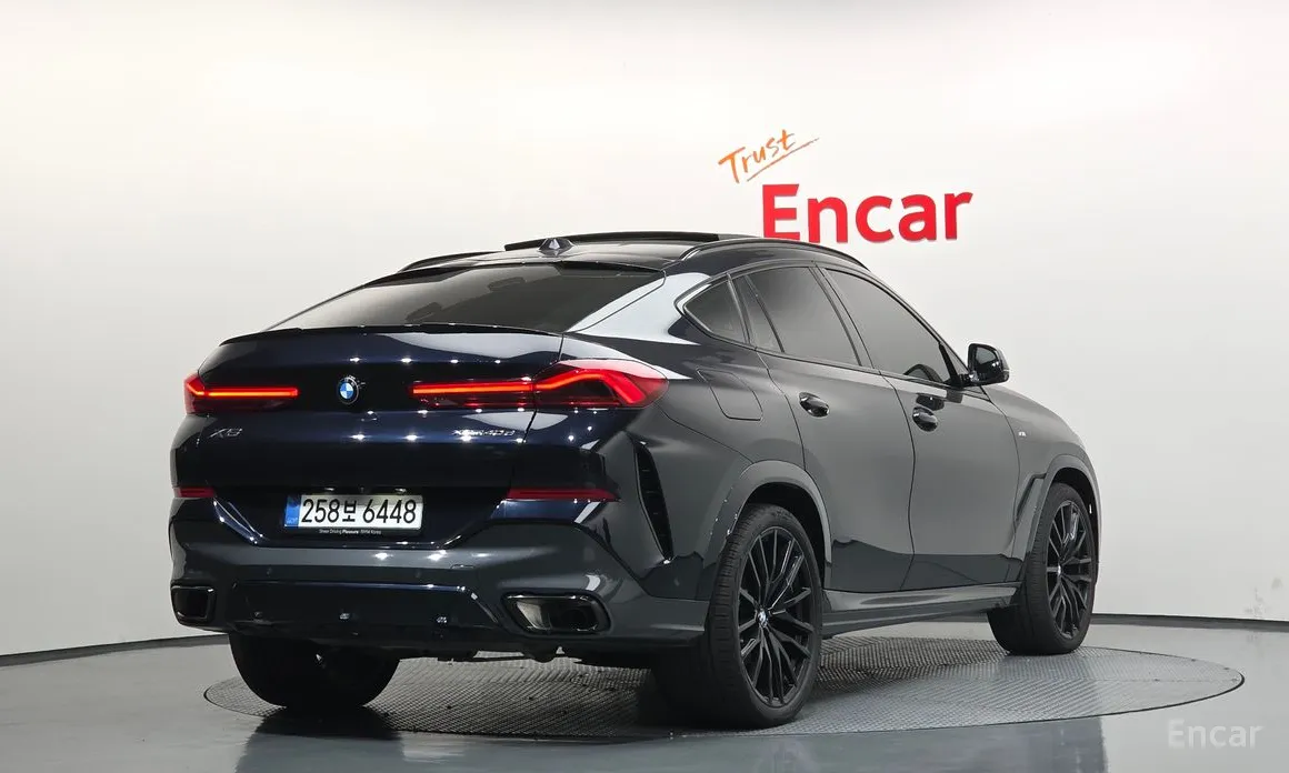 2020 BMW X6