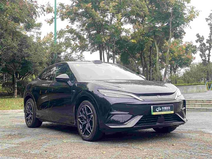 Фото 2 - BYD Song L