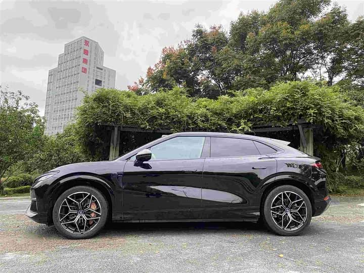 Фото 3 - BYD Song L