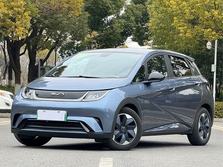 Фото 1 - BYD Dolphin