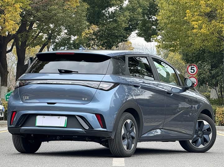 Фото 3 - BYD Dolphin