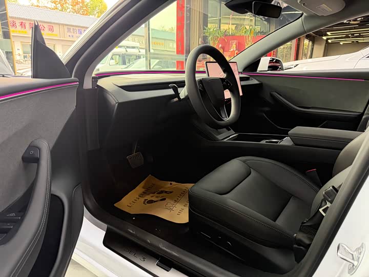 Tesla Model 3 2025 2025款 后轮驱动版
