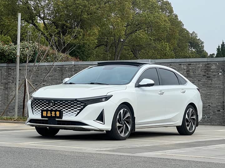 2023 Changan Raeton Plus