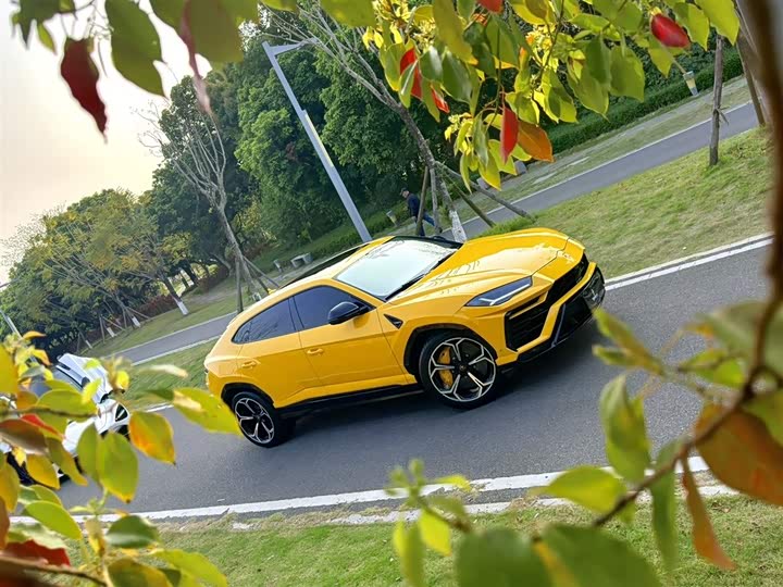 Lamborghini Urus 2021 2021款 4.0T V8