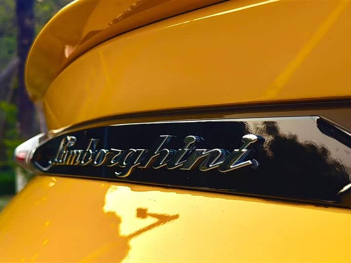 Lamborghini Urus 2021 2021款 4.0T V8