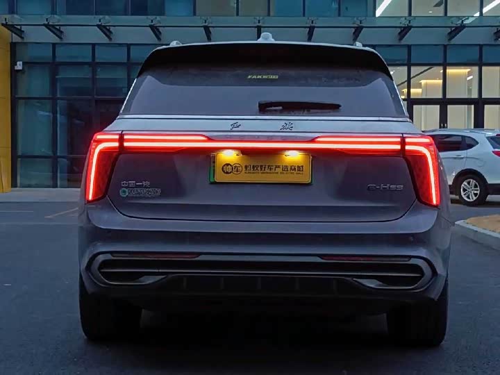 Hongqi E-HS9 2022 2022款 660km 旗领版 四座