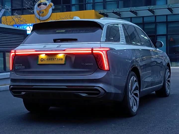 Hongqi E-HS9 2022 2022款 660km 旗领版 四座