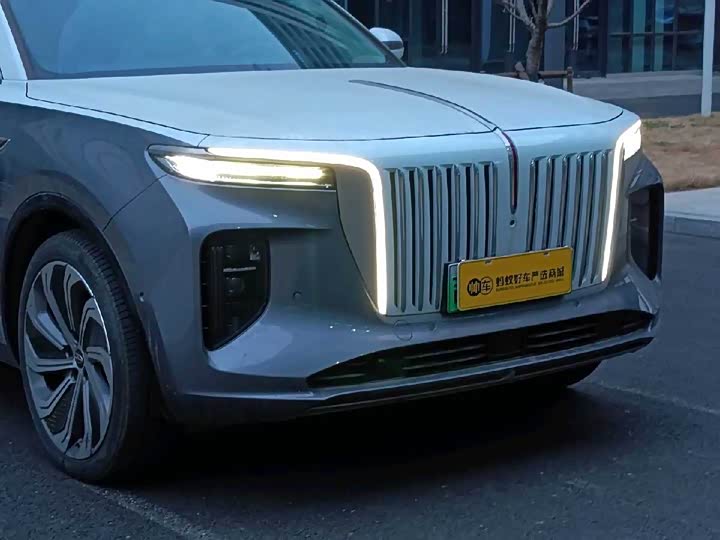 Hongqi E-HS9 2022 2022款 660km 旗领版 四座