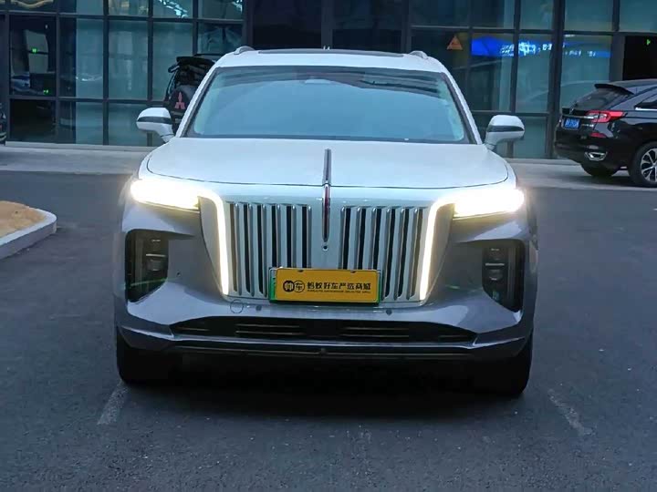 Hongqi E-HS9 2022 2022款 660km 旗领版 四座