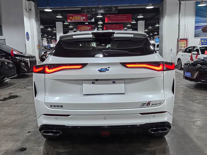 Фото 4 - Changan Oshan Z6