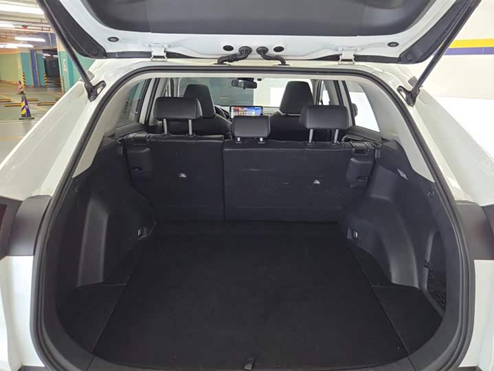 Toyota RAV4 2021 2021款 2.0L CVT两驱风尚PLUS版