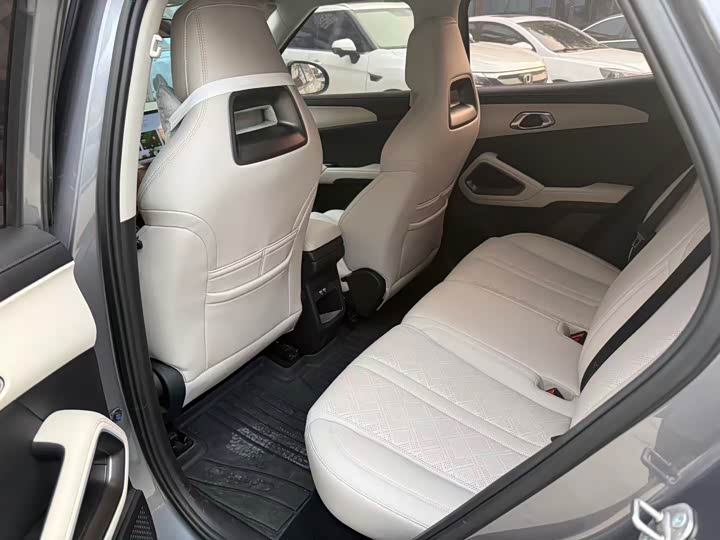 BYD Yuan Up 2024 2024款 401KM 领先型