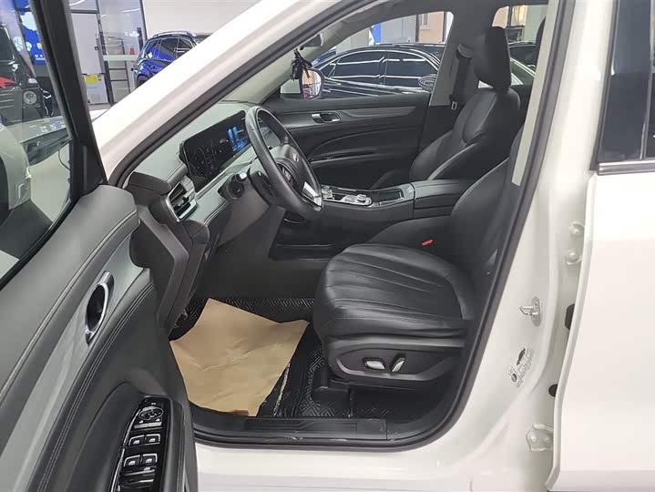 Ford Equator 2021 2021款 EcoBoost 225 铂领型 6座