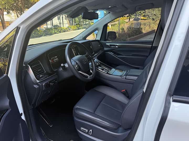 GAC Trumpchi M8 2021 2021款 大师系列 390T 尊贵版