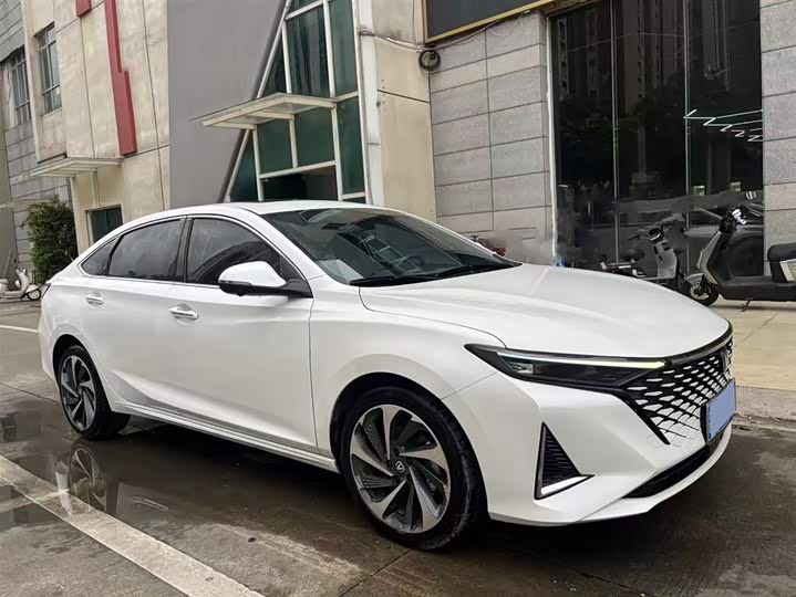 Zdjęcie 2 - Changan Raeton Plus
