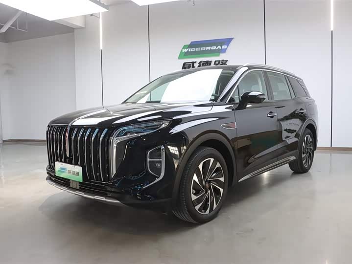 Фото 1 - Hongqi HS7 Hybrid