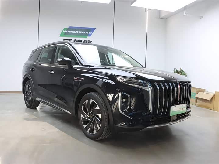 Фото 2 - Hongqi HS7 Hybrid
