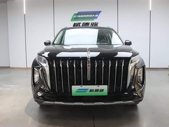 Фото 3 - Hongqi HS7 Hybrid
