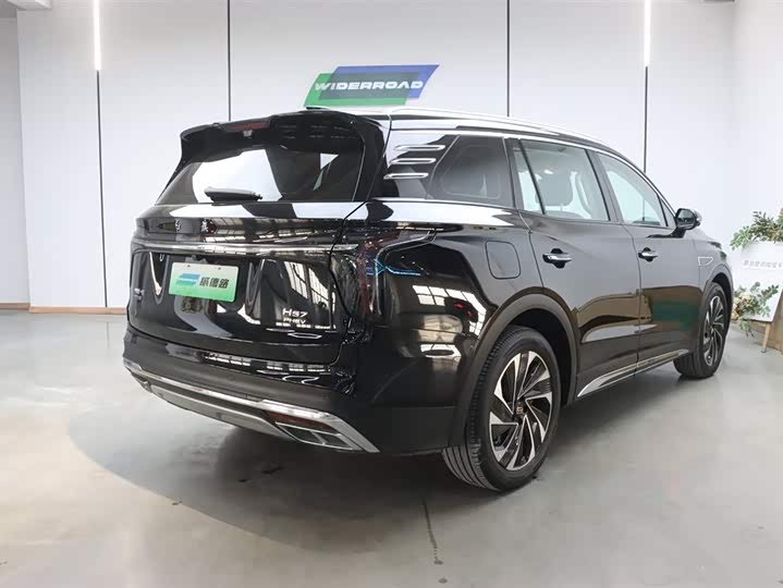 Фото 4 - Hongqi HS7 Hybrid