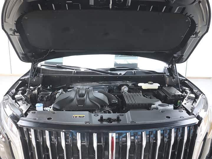 Фото 8 - Hongqi HS7 Hybrid